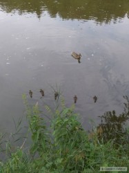kliknutím fotku zvětšíte