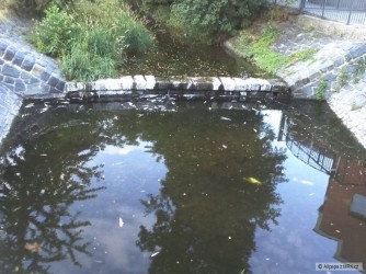 kliknutím fotku zvětšíte