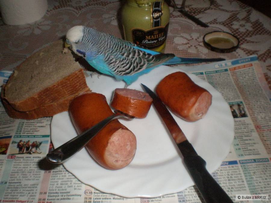 kliknutím fotku zvětšíte