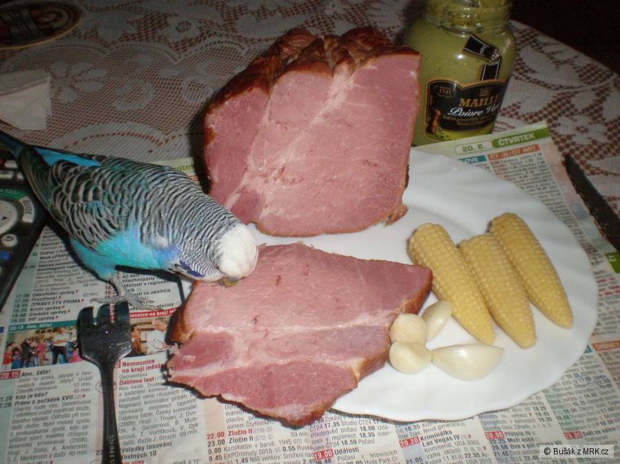 kliknutím fotku zvětšíte