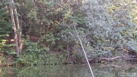 kliknutím fotku zvětšíte