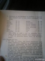 kliknutím fotku zvětšíte