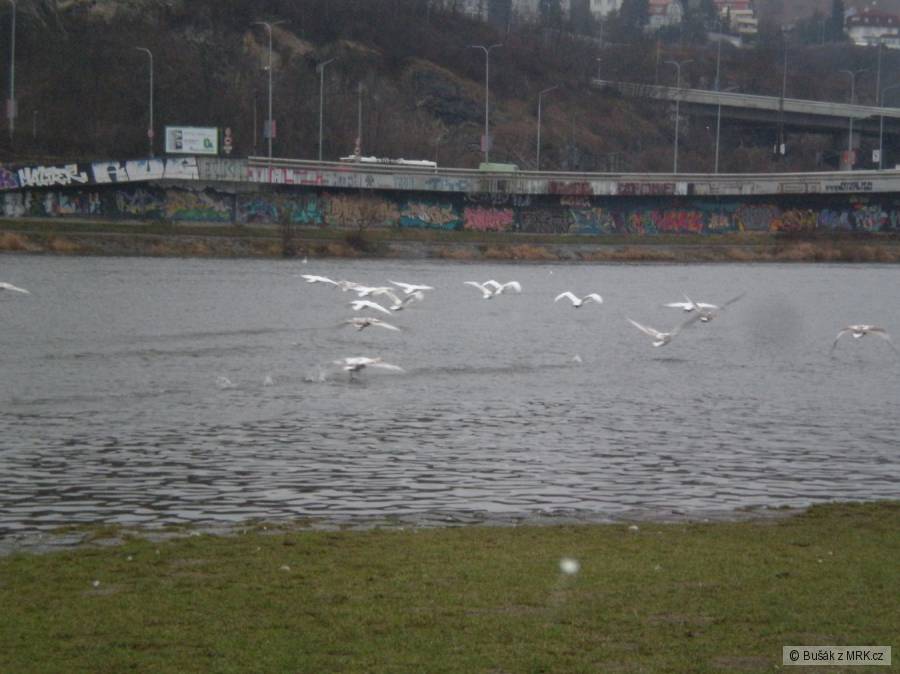 kliknutím fotku zvětšíte