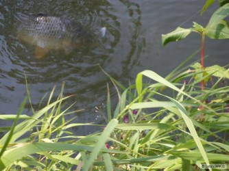 kliknutím fotku zvětšíte