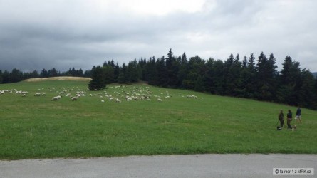 kliknutím fotku zvětšíte