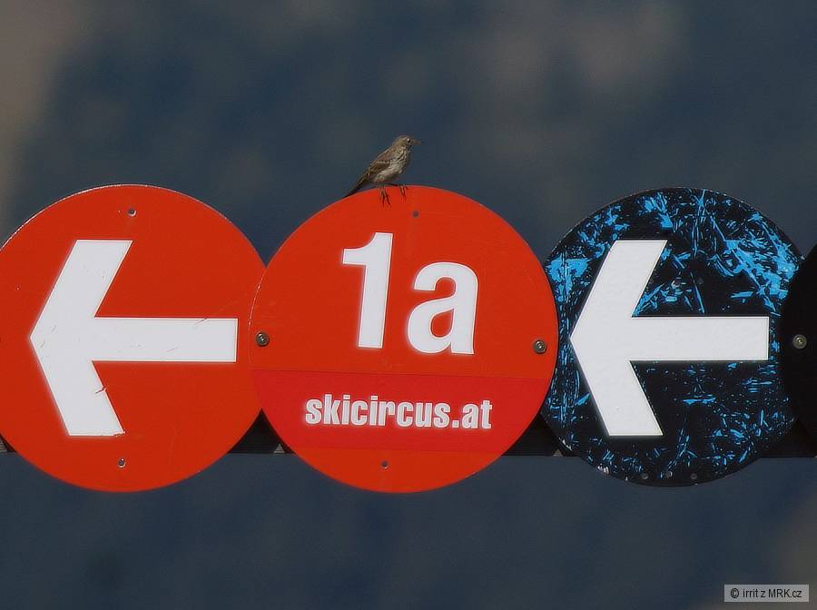 kliknutím fotku zvětšíte