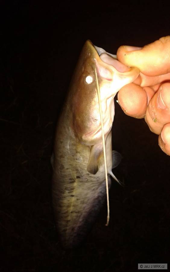 kliknutím fotku zvětšíte
