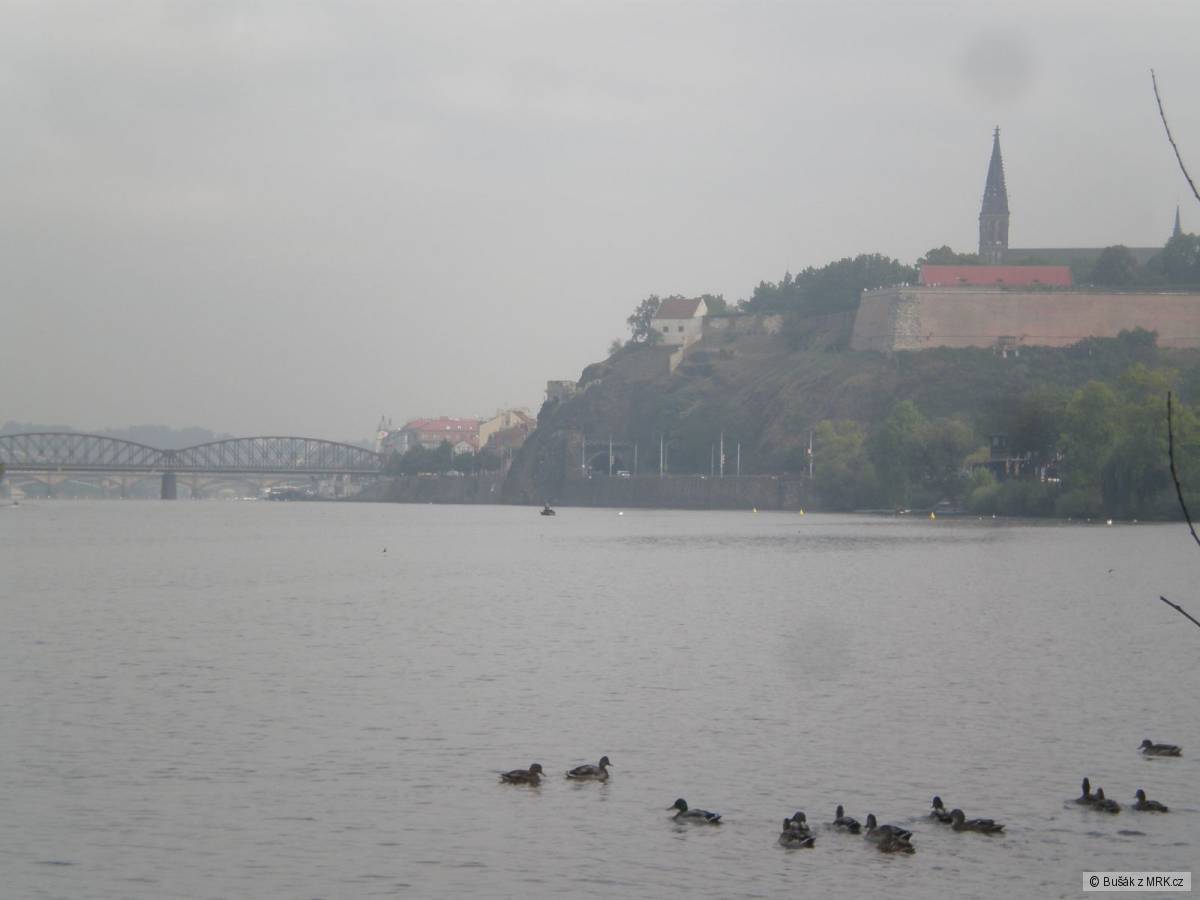 kliknutím fotku zvětšíte