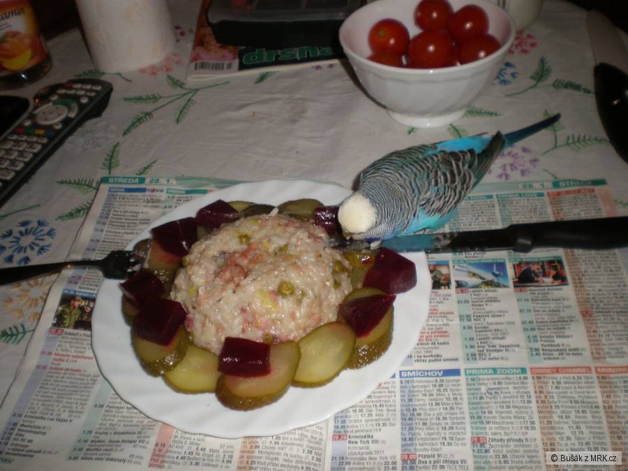 kliknutím fotku zvětšíte