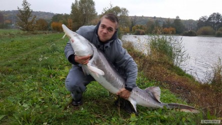 kliknutím fotku zvětšíte