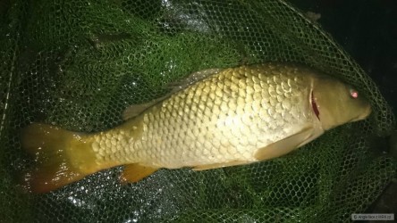 kliknutím fotku zvětšíte