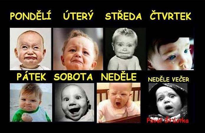 kliknutím fotku zvětšíte