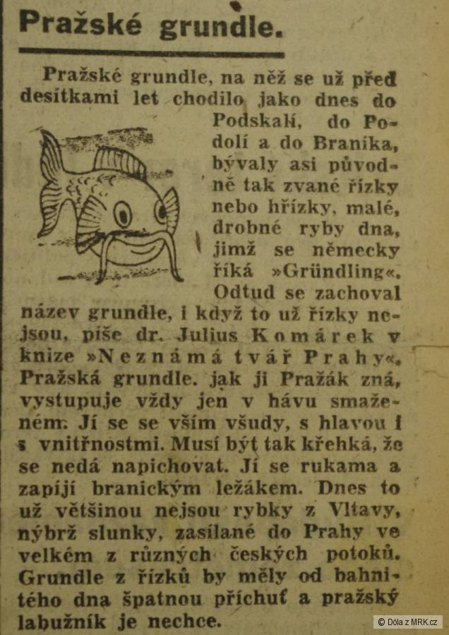 kliknutím fotku zvětšíte