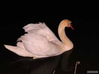 kliknutím fotku zvětšíte