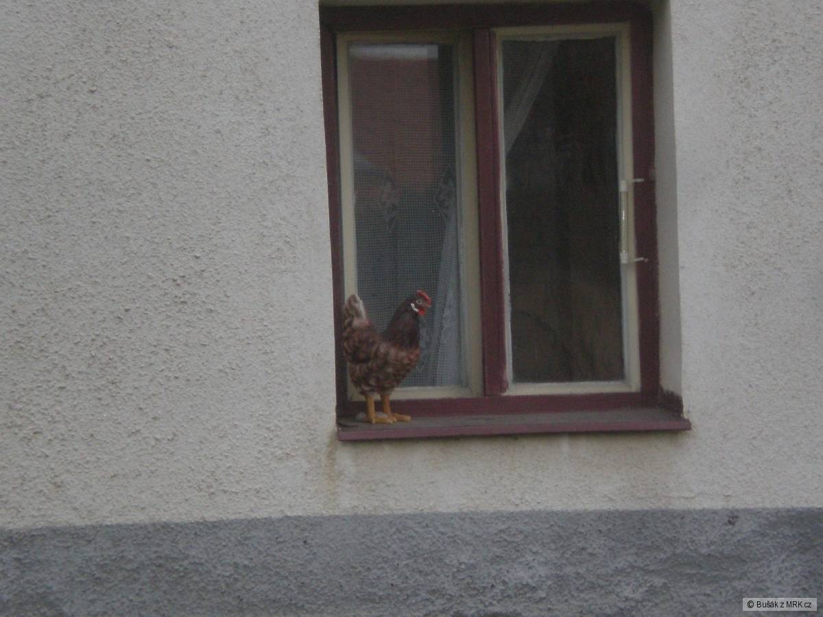 kliknutím fotku zvětšíte