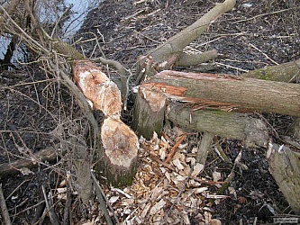 kliknutím fotku zvětšíte
