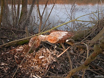 kliknutím fotku zvětšíte