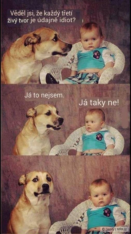 kliknutím fotku zvětšíte