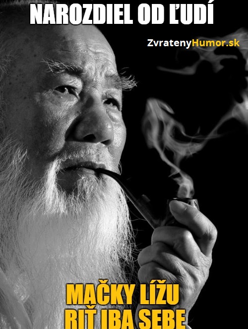 kliknutím fotku zvětšíte