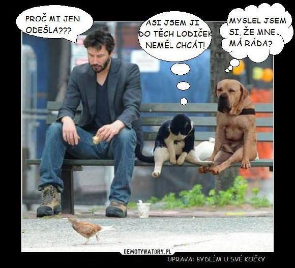 kliknutím fotku zvětšíte