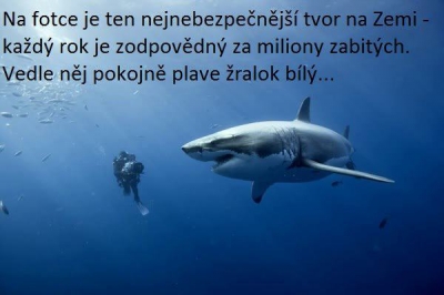 kliknutím fotku zvětšíte