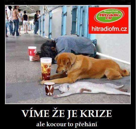 kliknutím fotku zvětšíte
