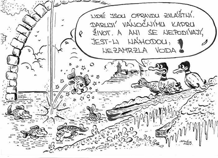 kliknutím fotku zvětšíte