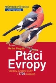 kliknutím fotku zvětšíte