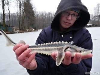 kliknutím fotku zvětšíte
