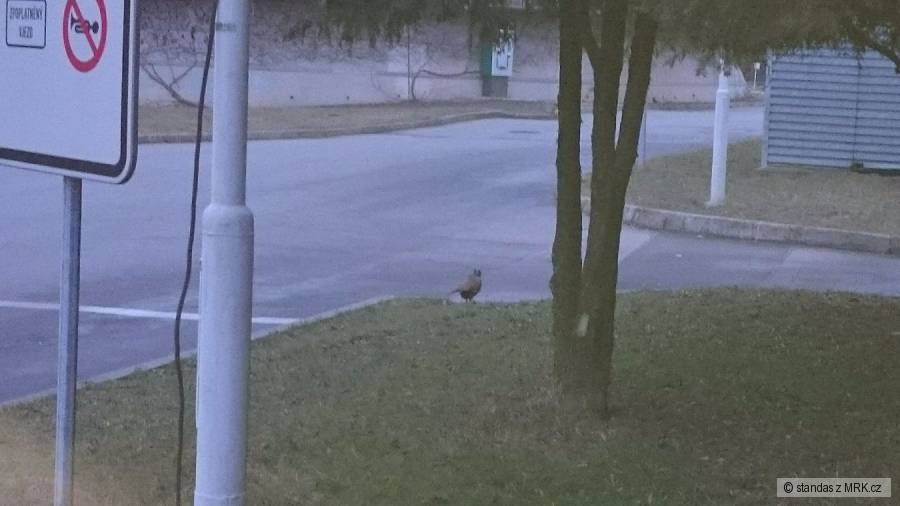 kliknutím fotku zvětšíte