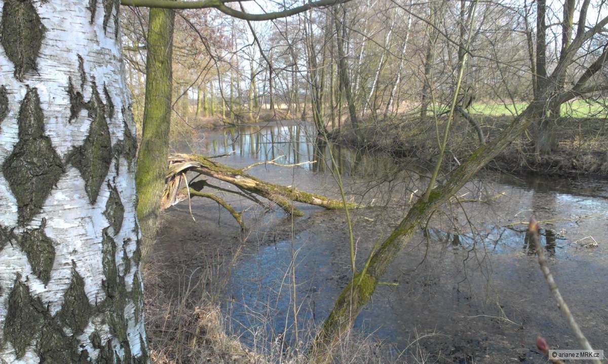 kliknutím fotku zvětšíte