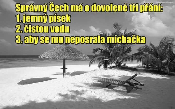 kliknutím fotku zvětšíte