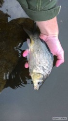 kliknutím fotku zvětšíte