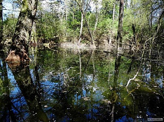 kliknutím fotku zvětšíte