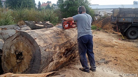 kliknutím fotku zvětšíte