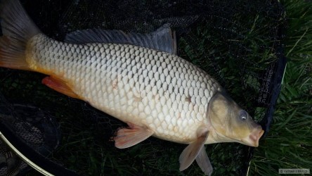 kliknutím fotku zvětšíte