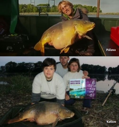 kliknutím fotku zvětšíte