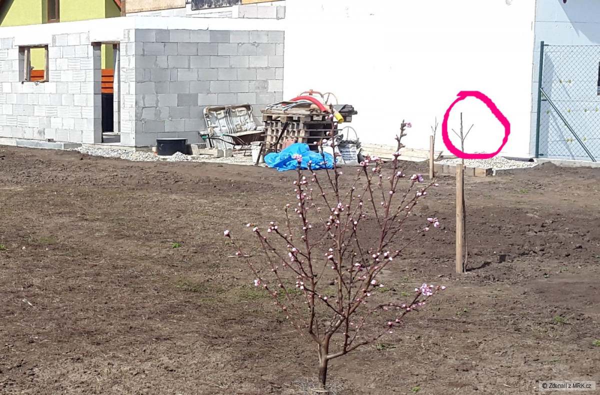 kliknutím fotku zvětšíte