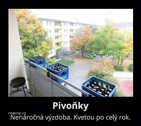 kliknutím fotku zvětšíte