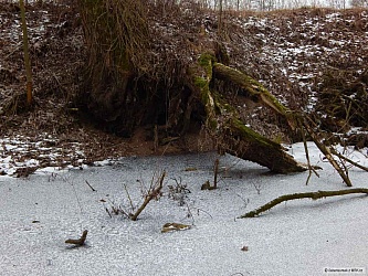 kliknutím fotku zvětšíte