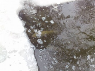kliknutím fotku zvětšíte