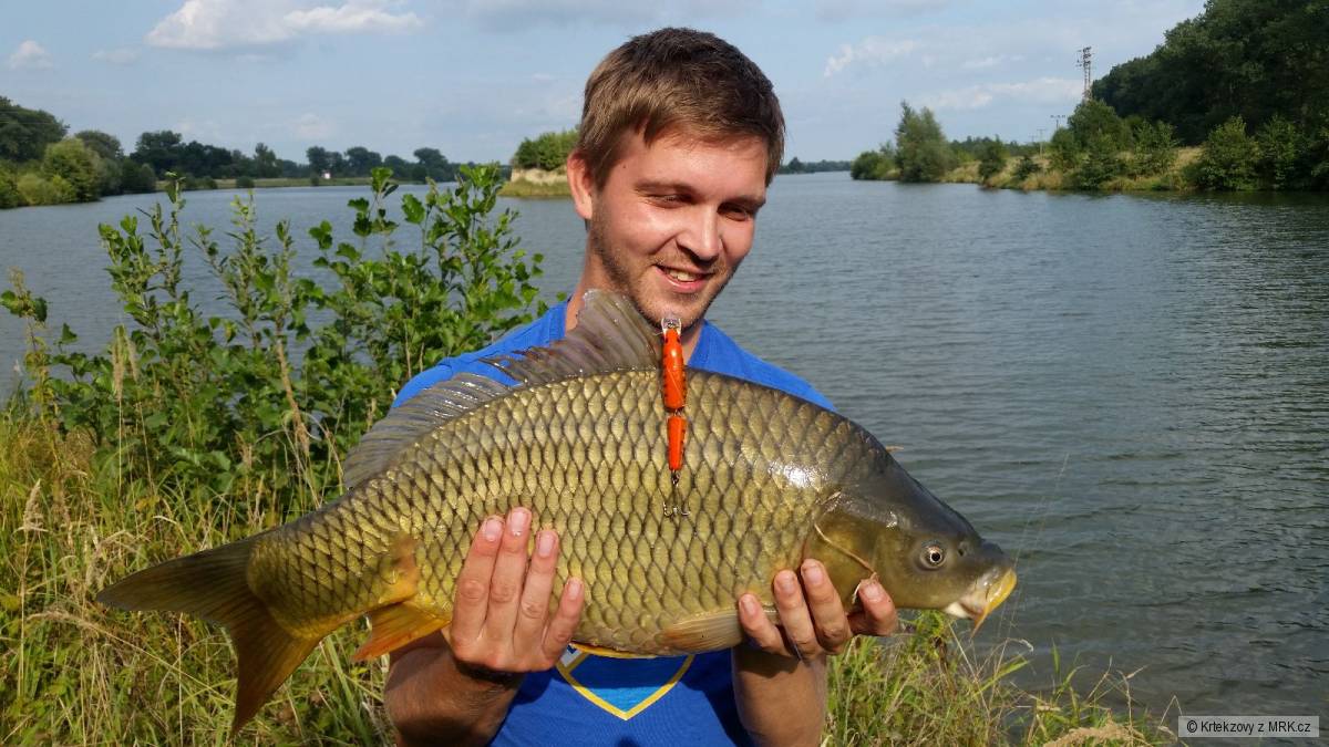 kliknutím fotku zvětšíte