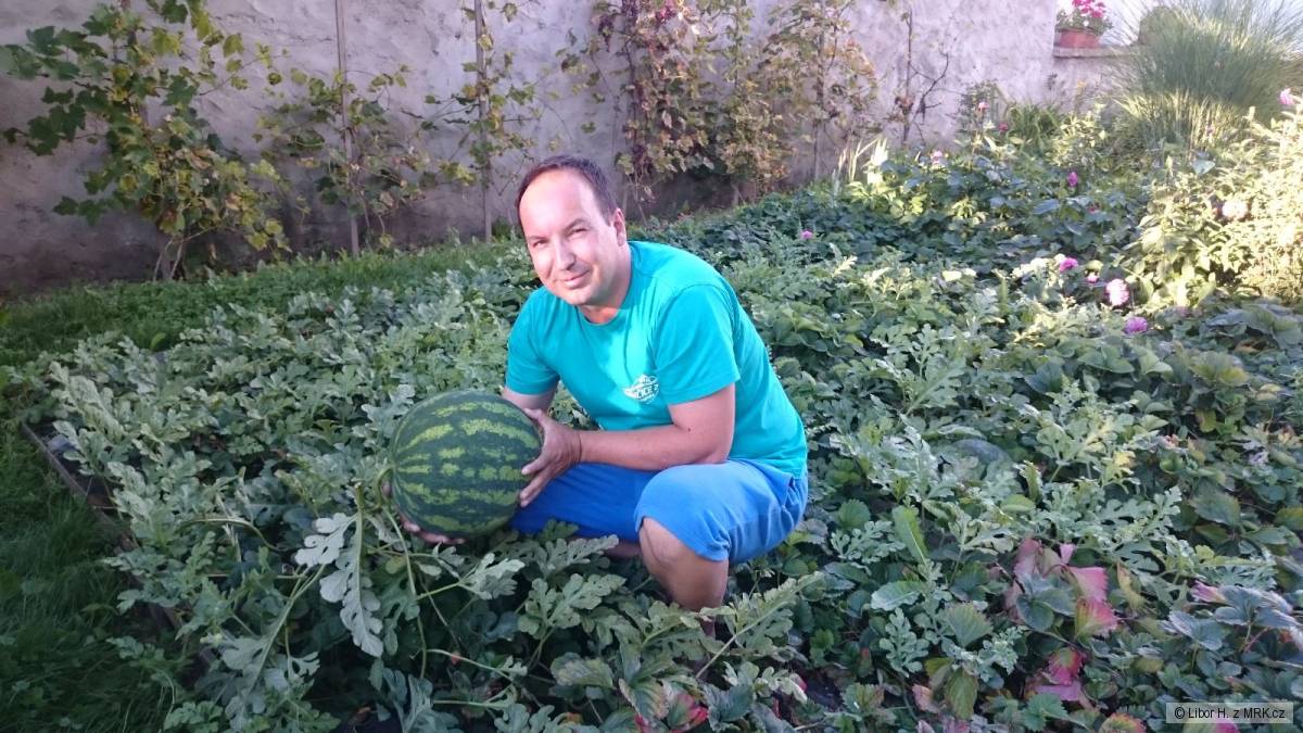 kliknutím fotku zvětšíte