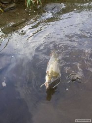 kliknutím fotku zvětšíte