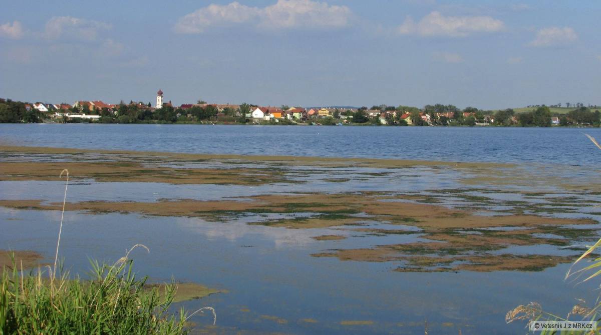 kliknutím fotku zvětšíte