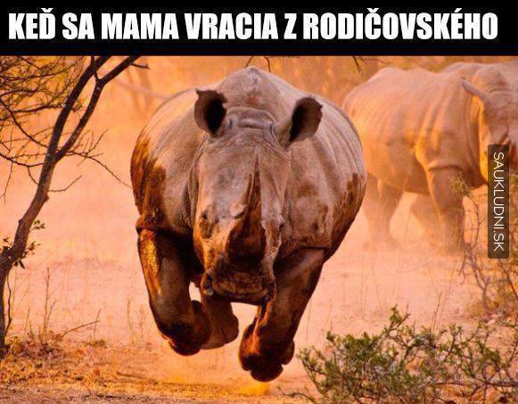 kliknutím fotku zvětšíte