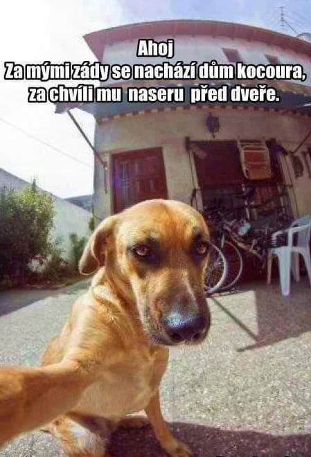 kliknutím fotku zvětšíte