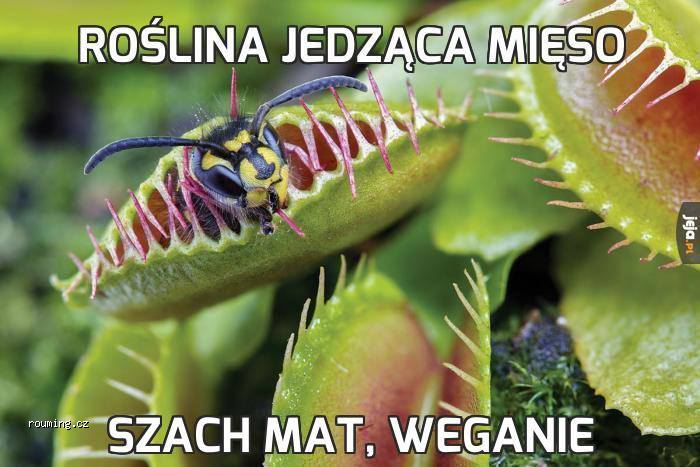kliknutím fotku zvětšíte