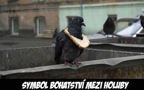 kliknutím fotku zvětšíte