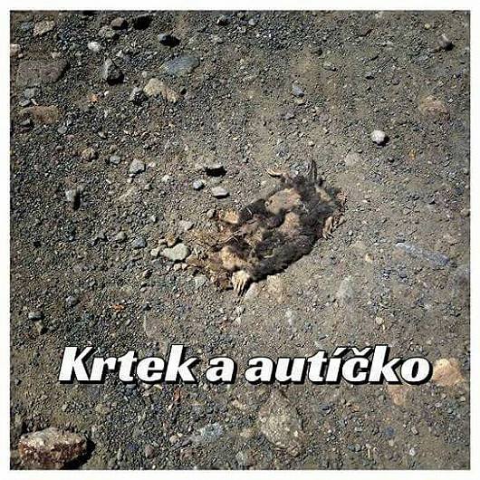 kliknutím fotku zvětšíte